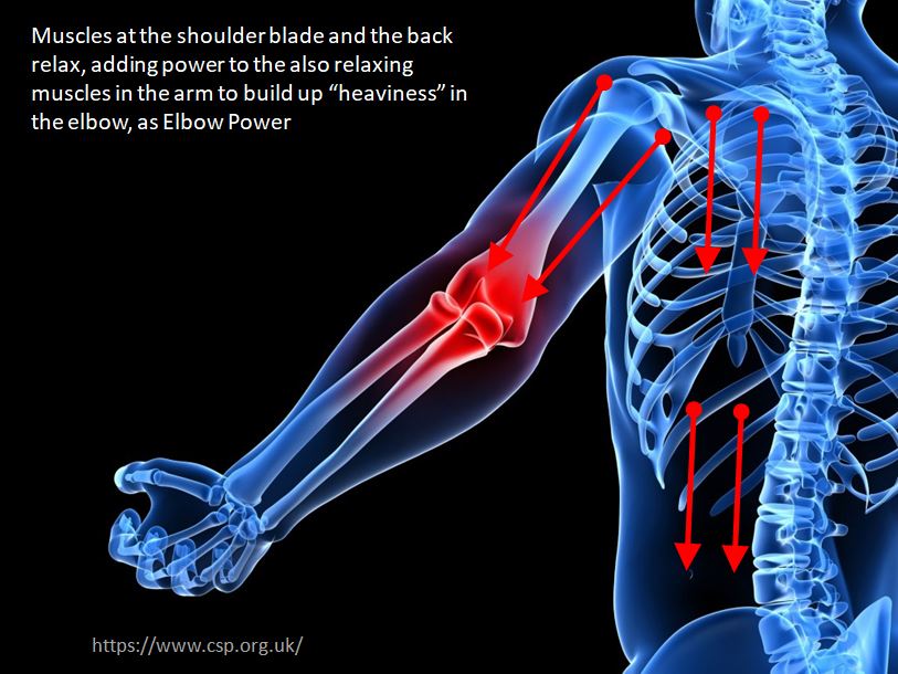 Elbow Rack Power What is Elbow Power? – Solid and Immense to Opponent, Light to You ...